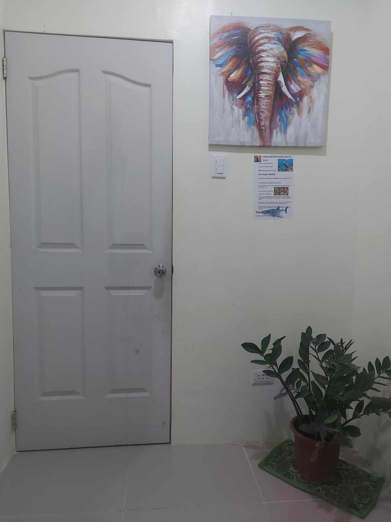 Cheri Backpackers Hostel Moalboal Exteriér fotografie